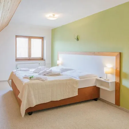 Hotel Hotel Rusava 3*